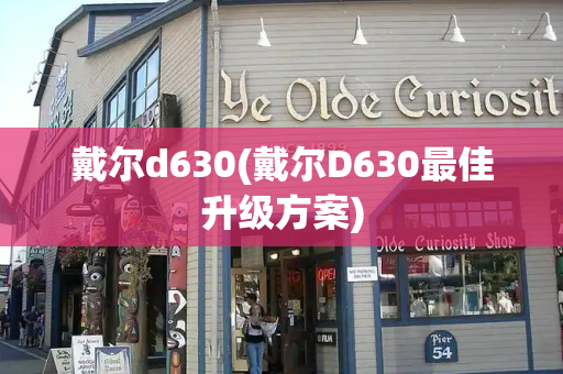 戴尔d630(戴尔D630最佳升级方案)-第1张图片-星选测评
