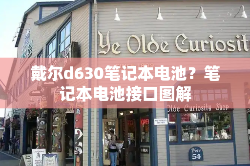 戴尔d630笔记本电池？笔记本电池接口图解-第1张图片-星选测评