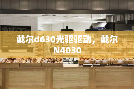 戴尔d630光驱驱动，戴尔N4030