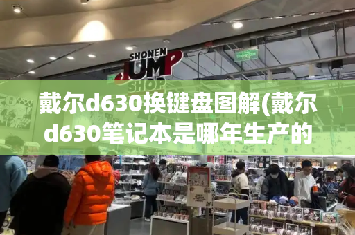 戴尔d630换键盘图解(戴尔d630笔记本是哪年生产的)-第1张图片-星选测评