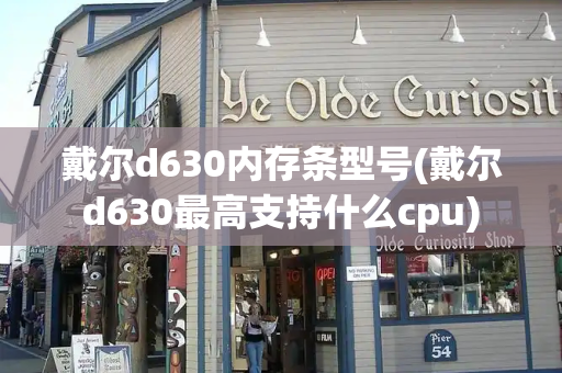 戴尔d630内存条型号(戴尔d630最高支持什么cpu)-第1张图片-星选测评