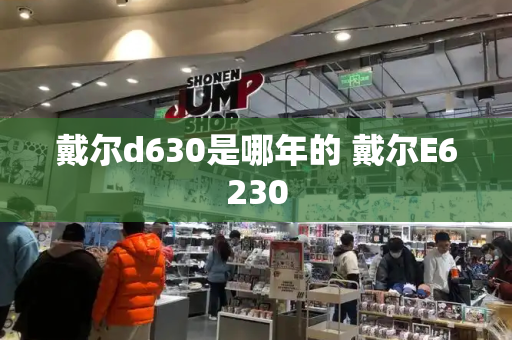 戴尔d630是哪年的 戴尔E6230