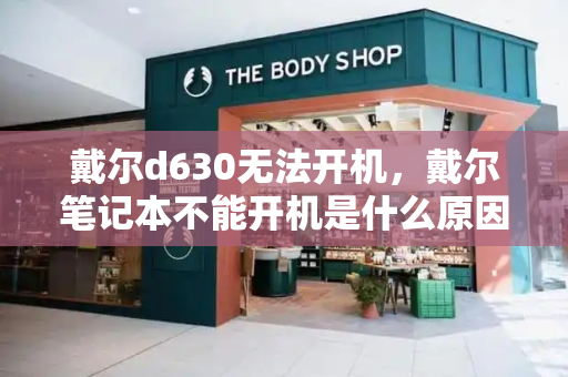 戴尔d630无法开机，戴尔笔记本不能开机是什么原因-第1张图片-星选测评