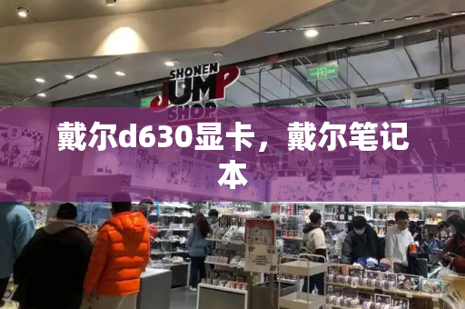 戴尔d630显卡，戴尔笔记本-第1张图片-星选测评