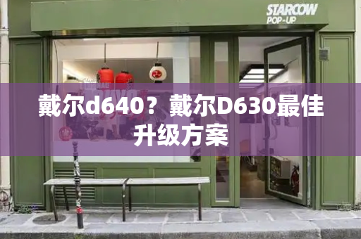 戴尔d640？戴尔D630最佳升级方案-第1张图片-星选测评