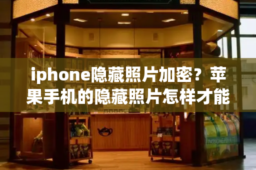 iphone隐藏照片加密？苹果手机的隐藏照片怎样才能加密-第1张图片-星选测评
