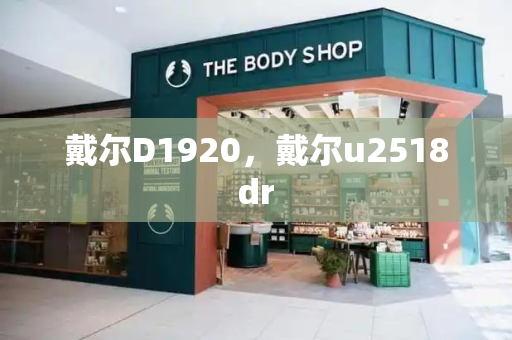 戴尔D1920，戴尔u2518dr