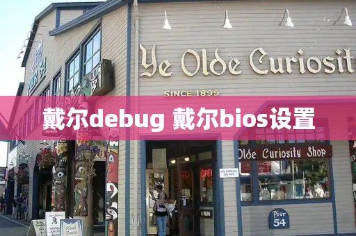 戴尔debug 戴尔bios设置-第1张图片-星选测评