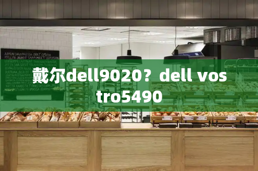 戴尔dell9020？dell vostro5490