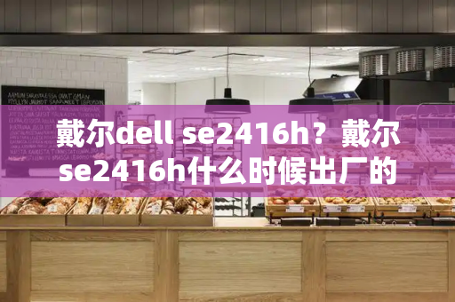 戴尔dell se2416h？戴尔se2416h什么时候出厂的-第1张图片-星选测评