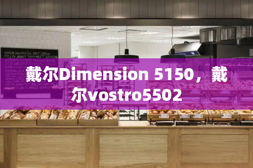戴尔Dimension 5150，戴尔vostro5502-第1张图片-星选测评