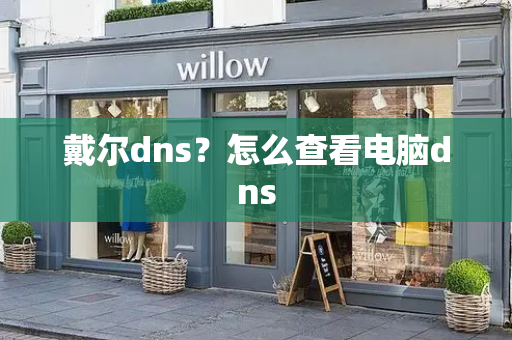 戴尔dns？怎么查看电脑dns-第1张图片-星选测评