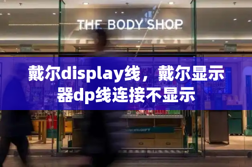 戴尔display线，戴尔显示器dp线连接不显示-第1张图片-星选测评