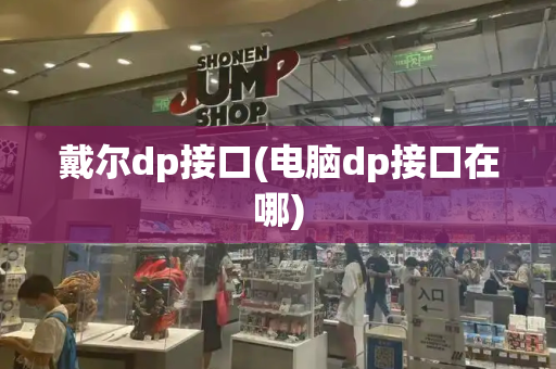 戴尔dp接口(电脑dp接口在哪)
