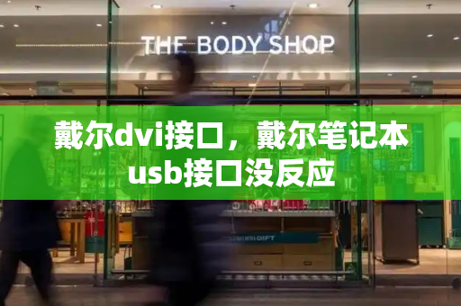 戴尔dvi接口，戴尔笔记本usb接口没反应
