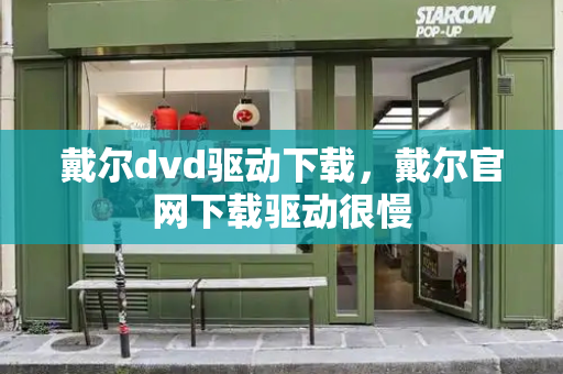 戴尔dvd驱动下载，戴尔官网下载驱动很慢-第1张图片-星选测评