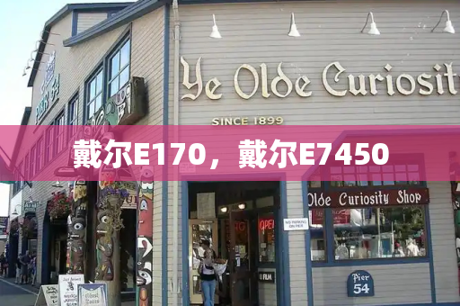 戴尔E170，戴尔E7450-第1张图片-星选测评