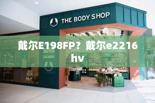 戴尔E198FP？戴尔e2216hv