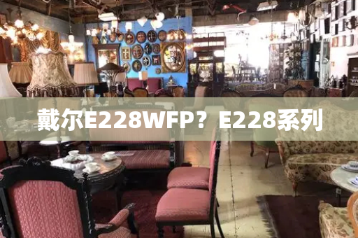 戴尔E228WFP？E228系列-第1张图片-星选测评