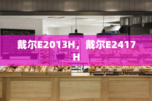 戴尔E2013H，戴尔E2417H