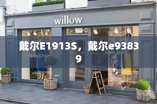 戴尔E1913S，戴尔e93839-第1张图片-星选测评