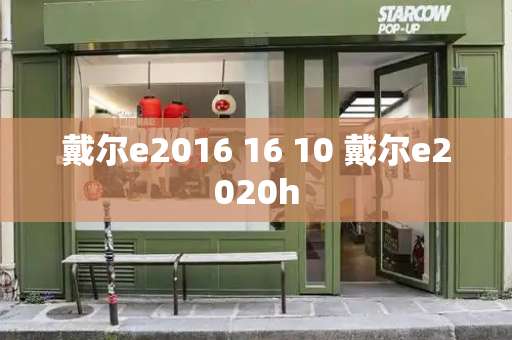戴尔e2016 16 10 戴尔e2020h