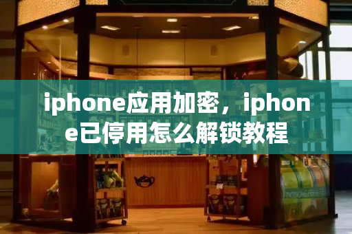 iphone应用加密，iphone已停用怎么解锁教程-第1张图片-星选测评