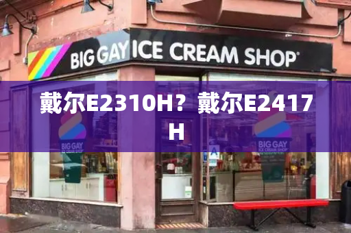 戴尔E2310H？戴尔E2417H