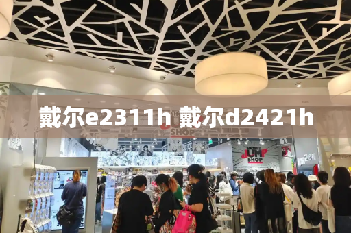戴尔e2311h 戴尔d2421h