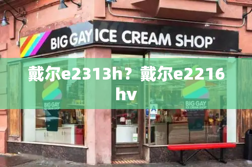 戴尔e2313h？戴尔e2216hv