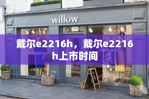 戴尔e2216h，戴尔e2216h上市时间-第1张图片-星选测评