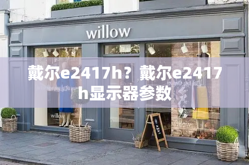 戴尔e2417h？戴尔e2417h显示器参数-第1张图片-星选测评