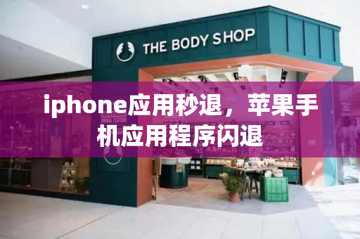 iphone应用秒退，苹果手机应用程序闪退-第1张图片-星选测评