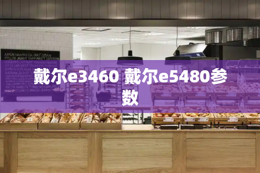 戴尔e3460 戴尔e5480参数