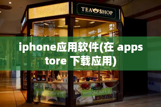 iphone应用软件(在 appstore 下载应用)