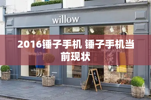 2016锤子手机 锤子手机当前现状-第1张图片-星选测评