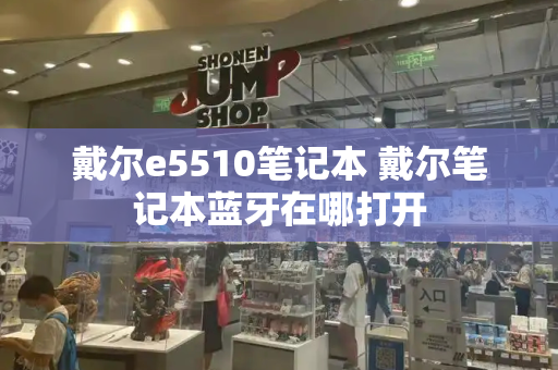 戴尔e5510笔记本 戴尔笔记本蓝牙在哪打开-第1张图片-星选测评