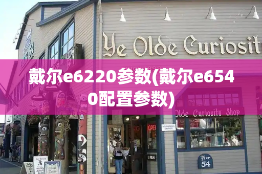 戴尔e6220参数(戴尔e6540配置参数)-第1张图片-星选测评