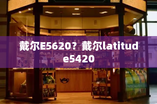戴尔E5620？戴尔latitude5420-第1张图片-星选测评