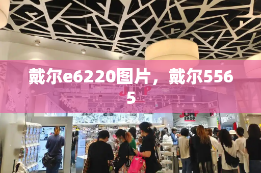 戴尔e6220图片，戴尔5565