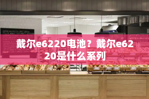 戴尔e6220电池？戴尔e6220是什么系列