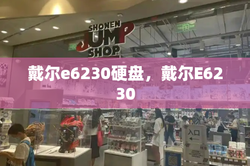 戴尔e6230硬盘，戴尔E6230-第1张图片-星选测评