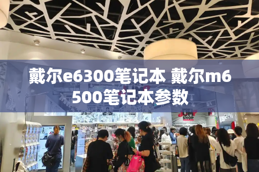 戴尔e6300笔记本 戴尔m6500笔记本参数
