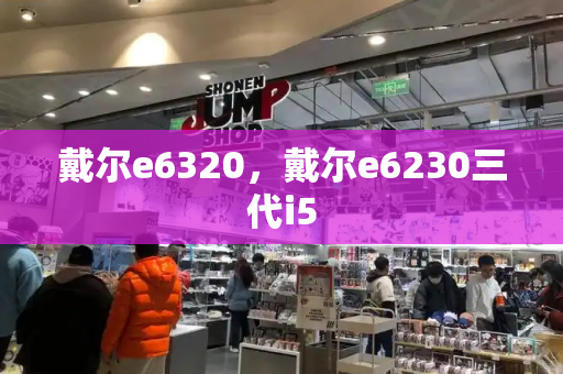 戴尔e6320，戴尔e6230三代i5-第1张图片-星选测评