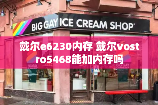 戴尔e6230内存 戴尔vostro5468能加内存吗-第1张图片-星选测评