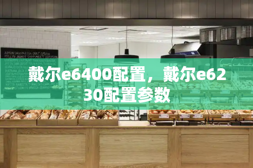 戴尔e6400配置，戴尔e6230配置参数
