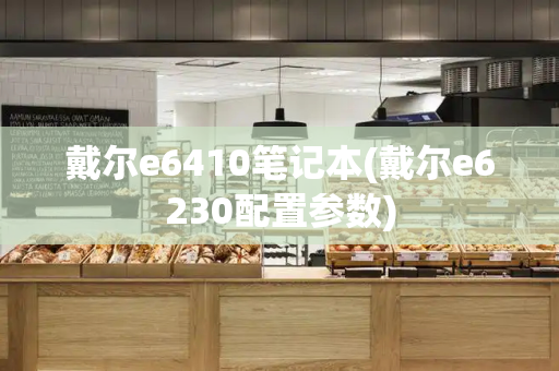 戴尔e6410笔记本(戴尔e6230配置参数)