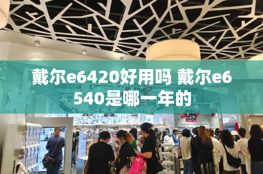 戴尔e6420好用吗 戴尔e6540是哪一年的-第1张图片-星选测评