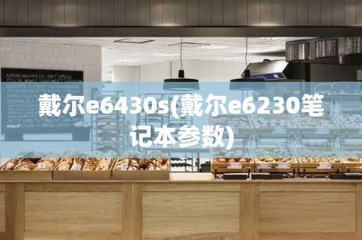 戴尔e6430s(戴尔e6230笔记本参数)