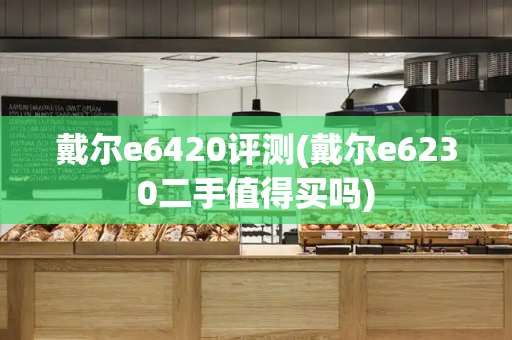 戴尔e6420评测(戴尔e6230二手值得买吗)